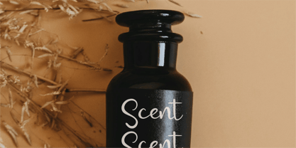 CF Graceful Letter Font Poster 9