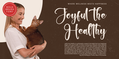 Chinstrap Stucky Font Poster 6