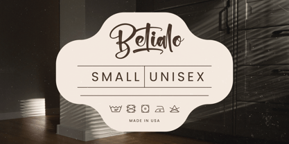 Chinstrap Stucky Font Poster 3