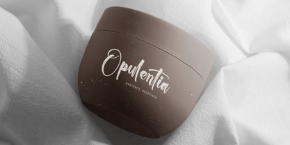 Chinstrap Stucky Font Poster 5