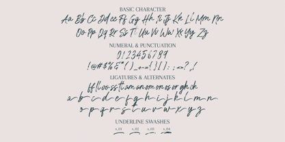 Austerally Font Poster 10