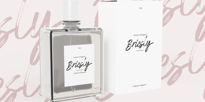 Austerally Font Poster 5