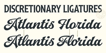 Arlington League Font Poster 14