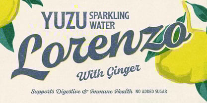 Arlington League Font Poster 4