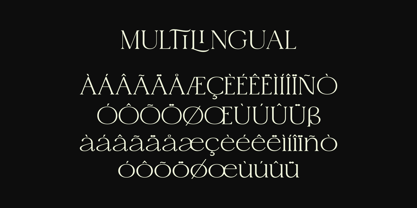 Kanes Font Poster 6