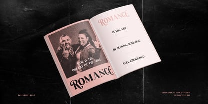 Besta Rosta Font Poster 9