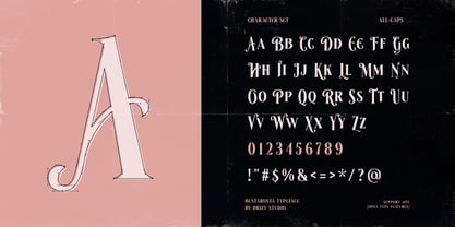 Besta Rosta Font Poster 4