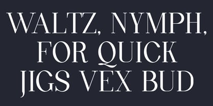 Quinty Font Poster 9