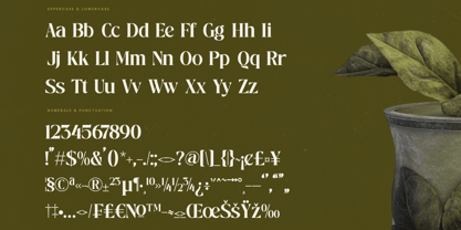 Mistical Spring Font Poster 14