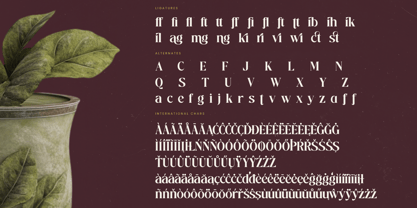 Mistical Spring Font Poster 15