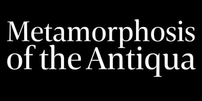 Carrara Fina Font Poster 6