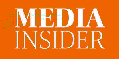 Carrara Fina Font Poster 9