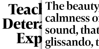 Carrara Fina Font Poster 11