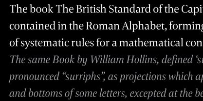 Carrara Fina Font Poster 12