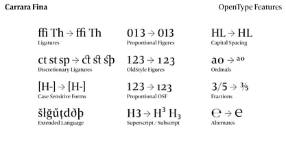 Carrara Fina Font Poster 15