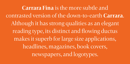 Carrara Fina Font Poster 5