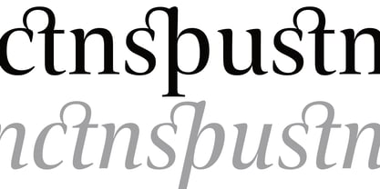 Carrara Fina Font Poster 13