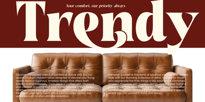 Bugeta Dream Font Poster 3