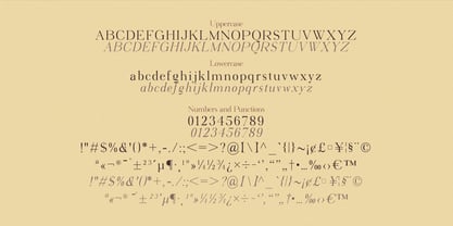 Virendra Pro Font Poster 12