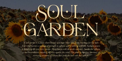 Virendra Pro Font Poster 6