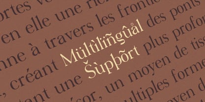 Virendra Pro Font Poster 14