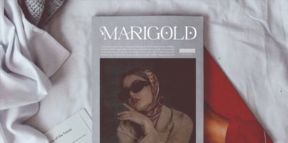 Virendra Pro Font Poster 10