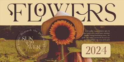 Virendra Pro Font Poster 4