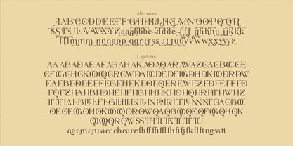 Virendra Pro Font Poster 13