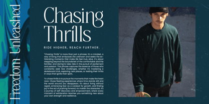 Painting Elegance Font Poster 2