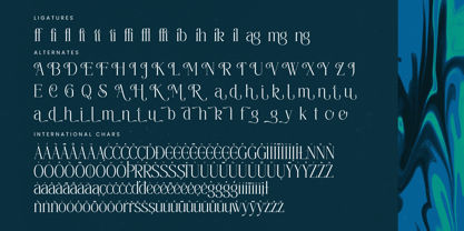 Painting Elegance Font Poster 15