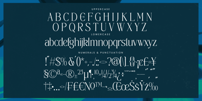 Painting Elegance Font Poster 14