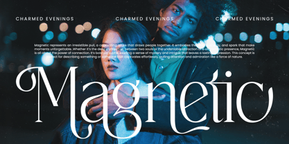 Painting Elegance Font Poster 10