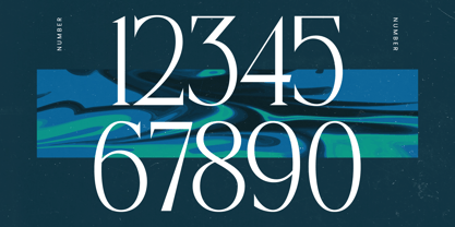 Painting Elegance Font Poster 13