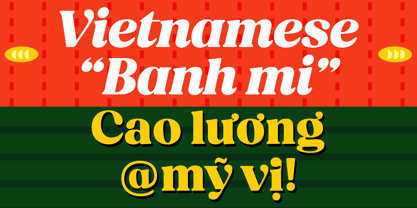 BT Amibus Font Poster 13
