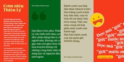 BT Amibus Font Poster 11