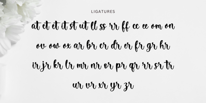Abitha Font Poster 13