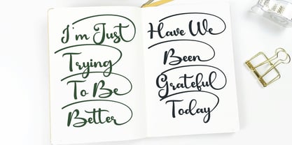 Chic baby Font Poster 5