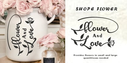 Chic baby Font Poster 2