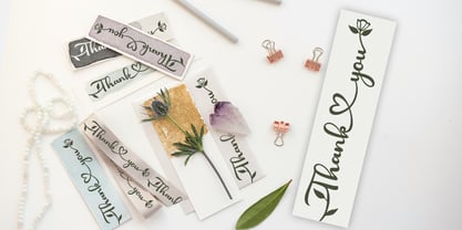 Chic baby Font Poster 7