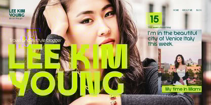 Shedry Font Poster 6