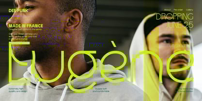 Shedry Font Poster 7