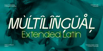 Shedry Font Poster 11