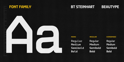 BT Steinhart Font Poster 6