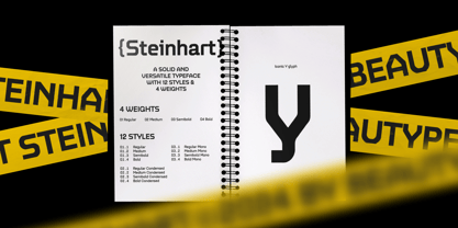 BT Steinhart Font Poster 3