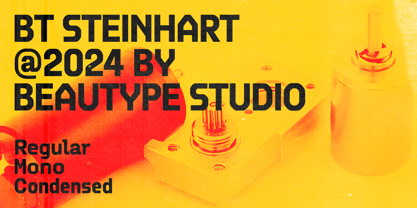 BT Steinhart Font Poster 1