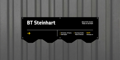 BT Steinhart Font Poster 9