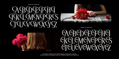 Deloca Moreys Font Poster 12