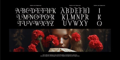 Deloca Moreys Font Poster 15