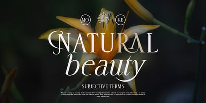 Deloca Moreys Font Poster 4