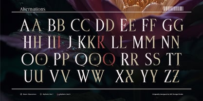 Deloca Moreys Font Poster 8